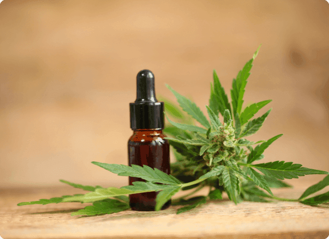 Cannabisblüte und braune Extraktflasche